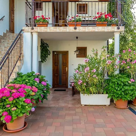 Strott Apartman Pinezići